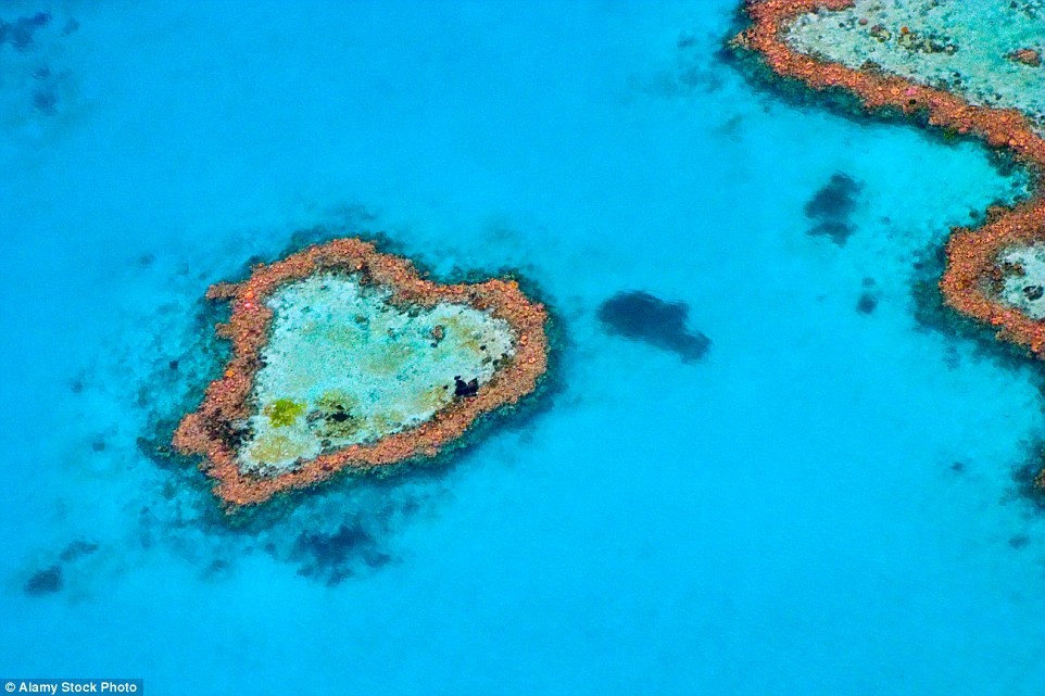 Heart Reef (Rặng san hô trái tim) nằm ở quần đảo Whitsunday, Australia là điểm đến hút khách du lịch với rặng san hô thành hình trái tim với hai màu sắc độc đáo. Đây là một trong những  kỳ quan hình trái tim nổi tiếng thế giới.